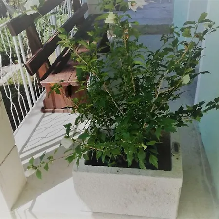Studio - Not For Rent Any More * Trogir